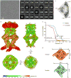 Extended Data Figure 3