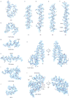 Extended Data Figure 5