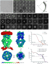 Extended Data Figure 4