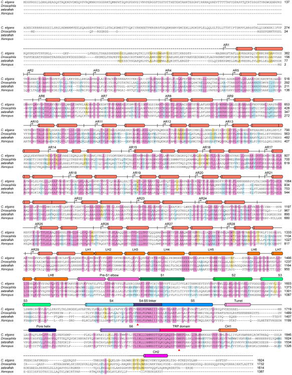 Extended Data Figure 10