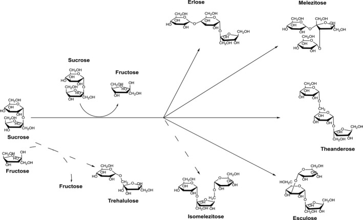 Figure 5