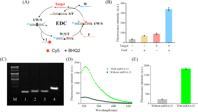 Fig. 1