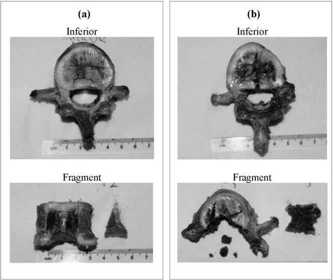 Fig. 3a, b