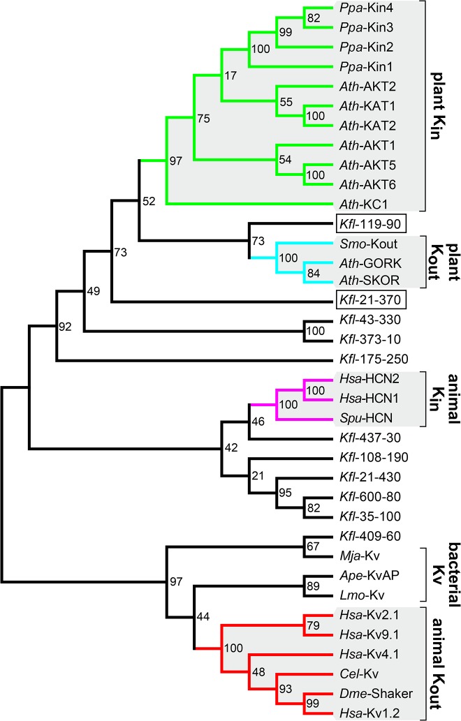 Fig 6