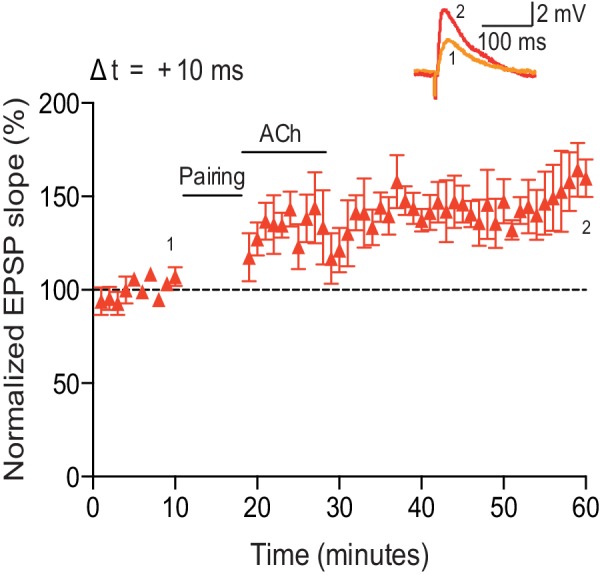 Figure 2—figure supplement 1.