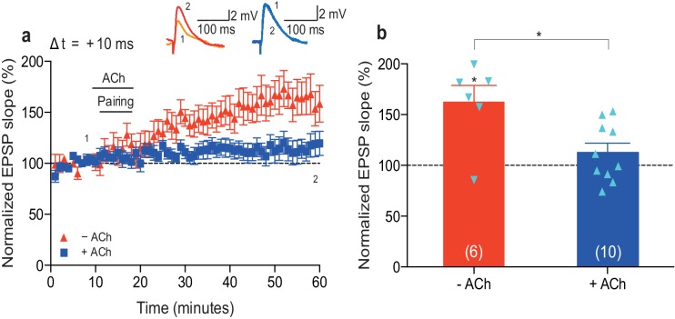 Figure 1—figure supplement 2.