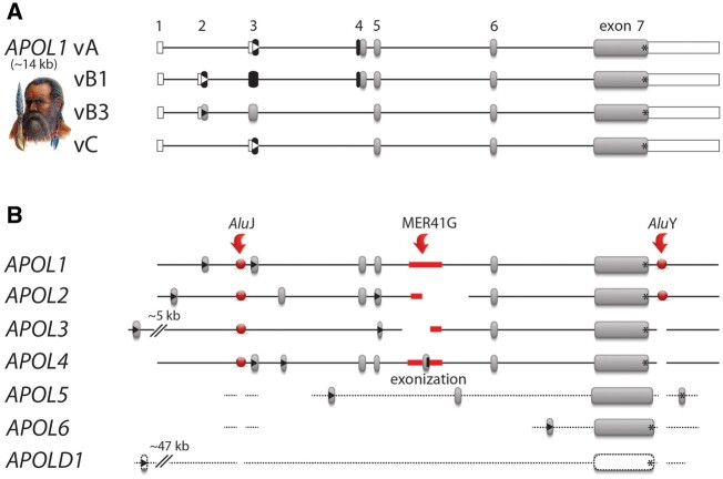 Fig. 2.