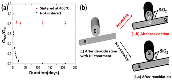 Figure 32