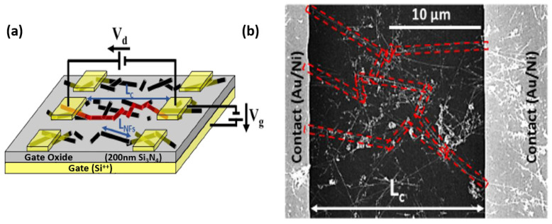 Figure 22