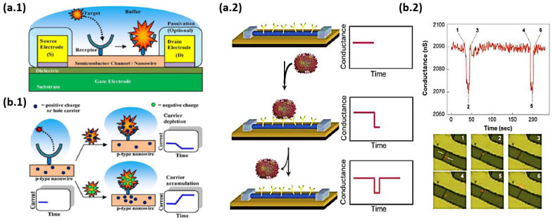 Figure 44