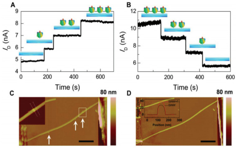 Figure 27