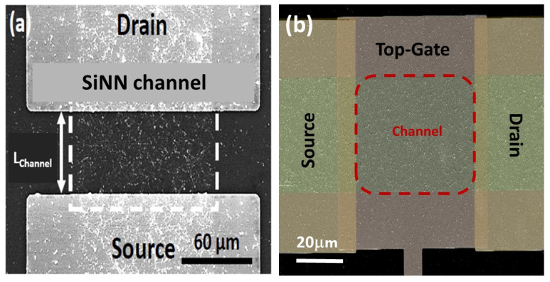 Figure 24