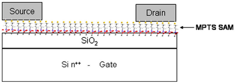 Figure 37