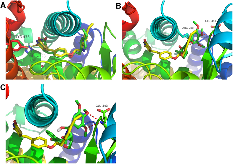 Figure 7