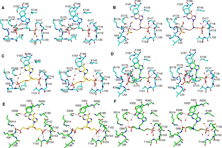 Fig 12