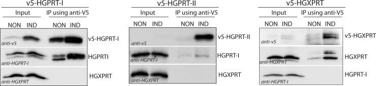 Fig 8