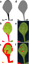 Fig. 10