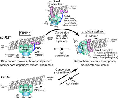 Figure 10.