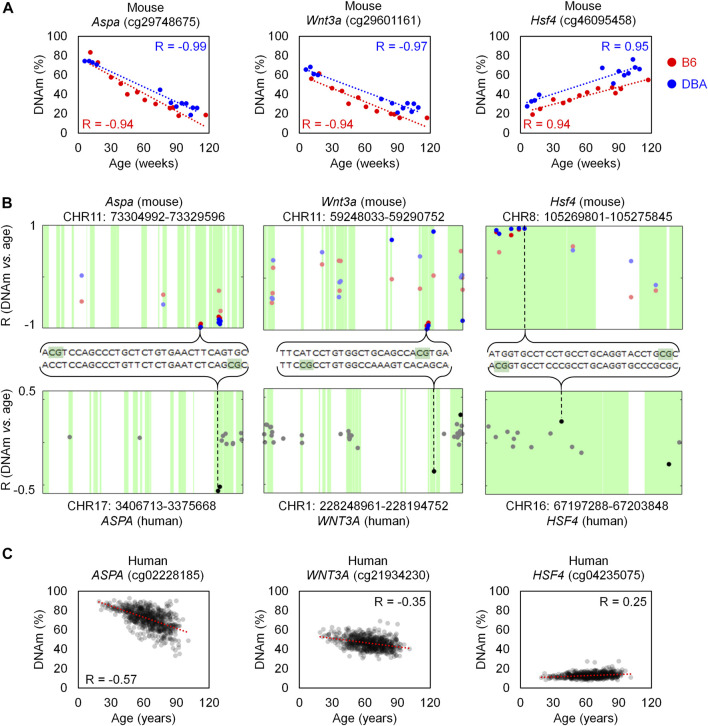 FIGURE 3