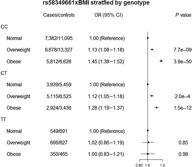 Figure 3. BMI in relation to colorectal cancer risk, stratified by genotype. Using normal BMI as the reference, risk for colorectal cancer was estimated for overweight and obesity across the genotypes of rs58349661.