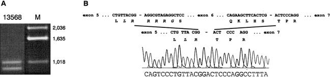 Figure  3