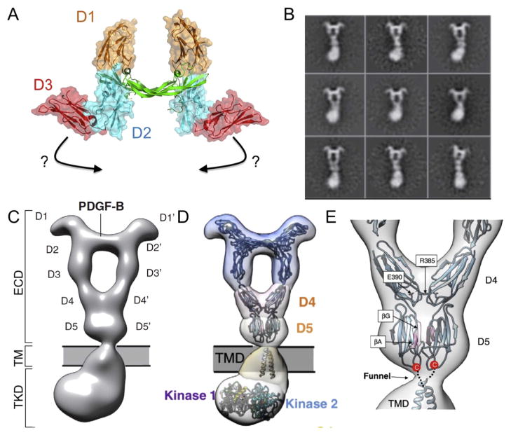 Fig. 9