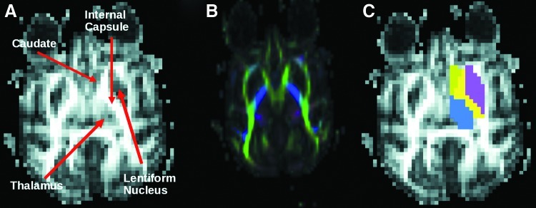 FIG. 1.