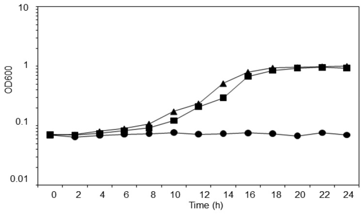 Figure 3.