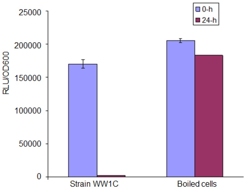 Figure 5.