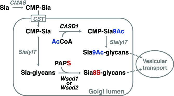 Figure 7