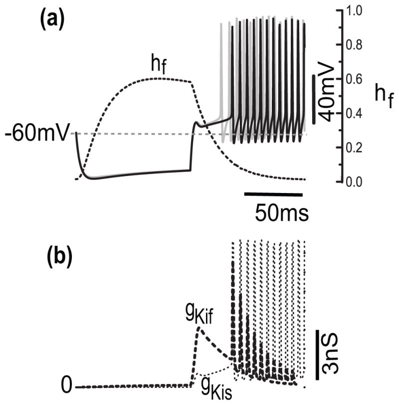 Fig. 8