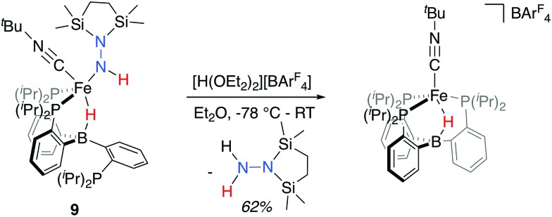 Scheme 5