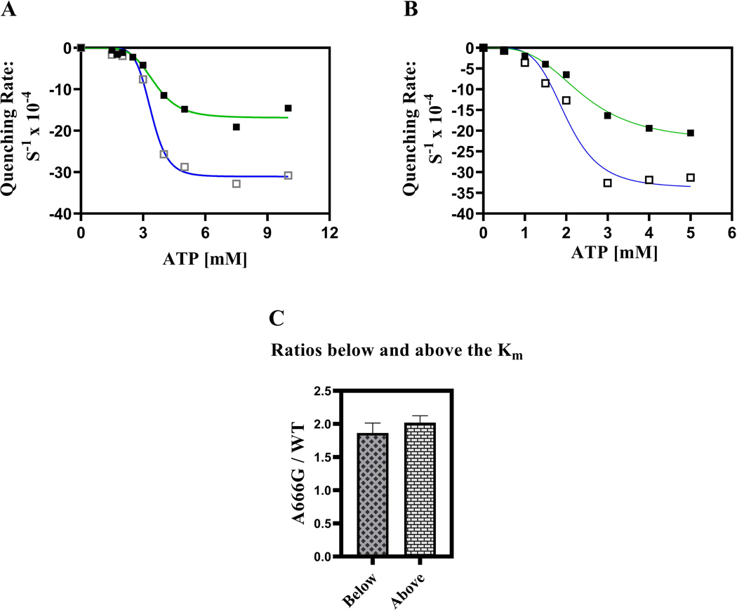 Fig. 8.