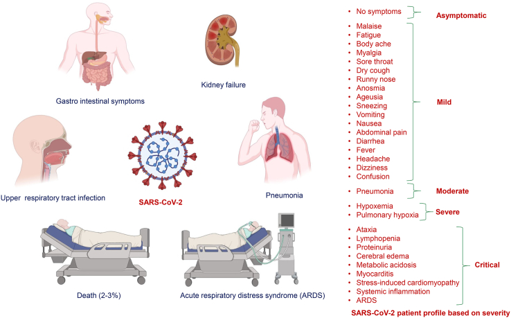 Figure 2