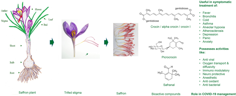 Figure 1