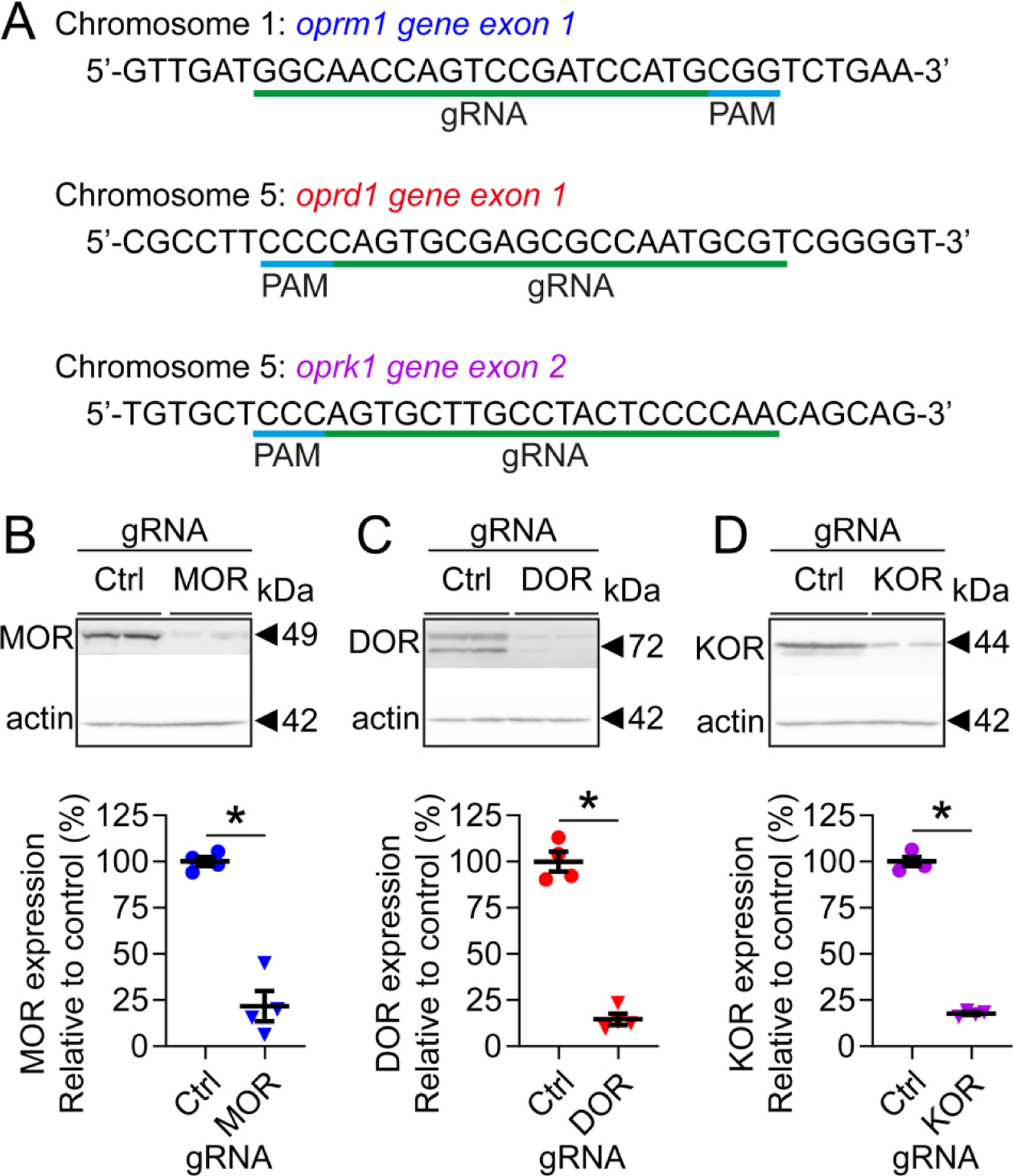 Figure 2: