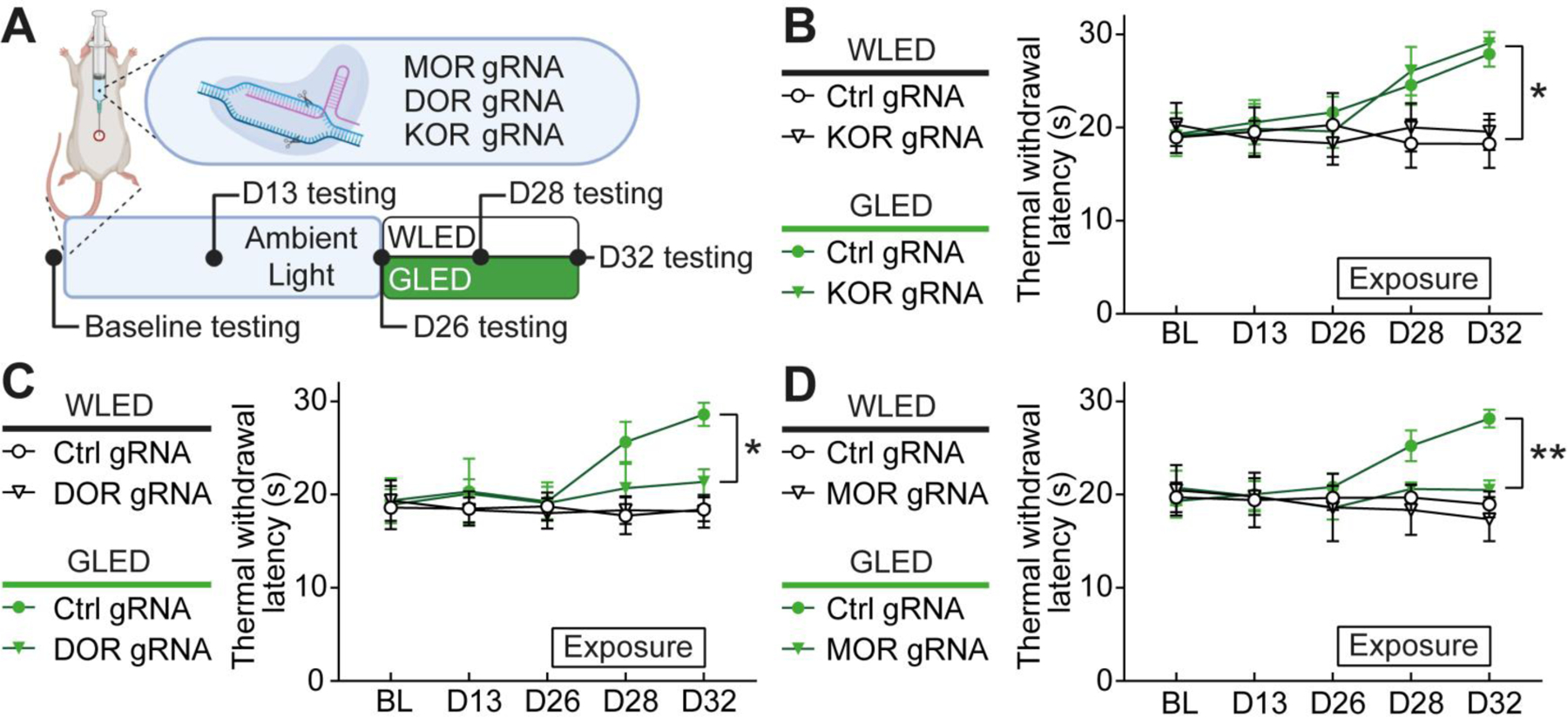 Figure 3: