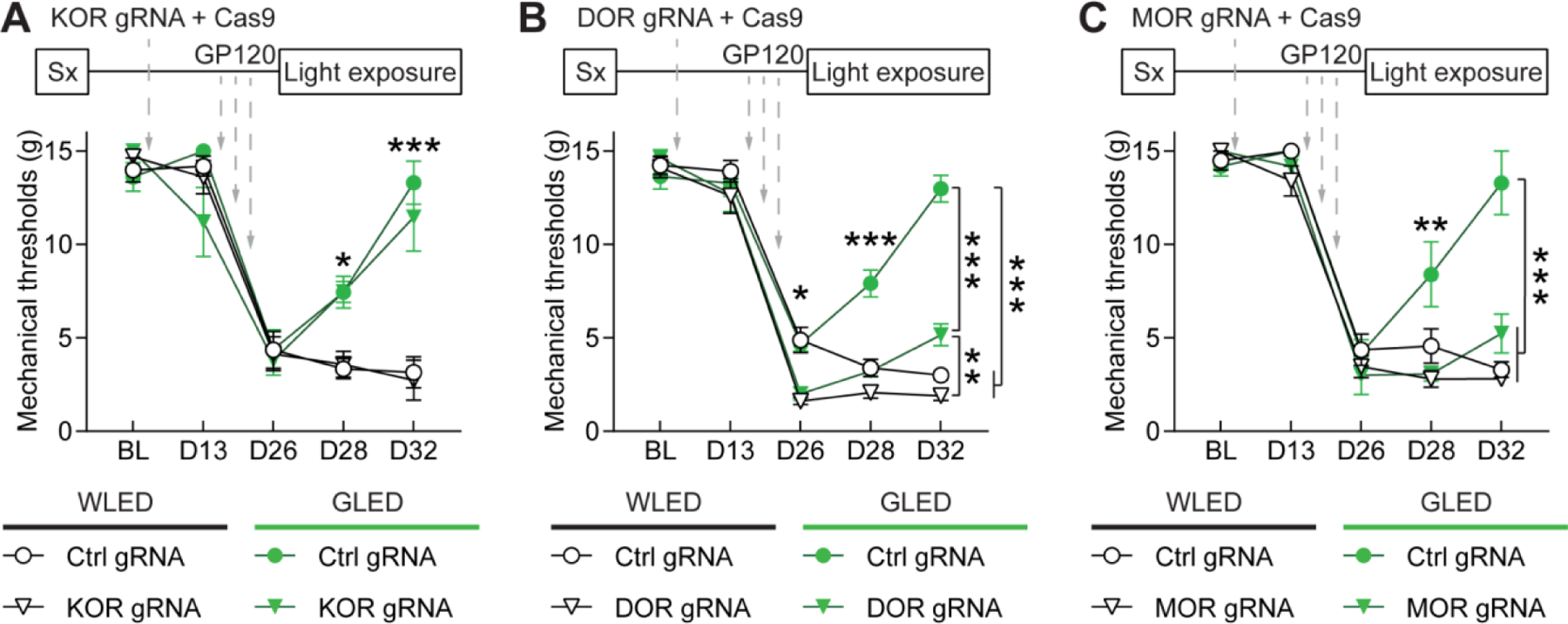 Figure 5: