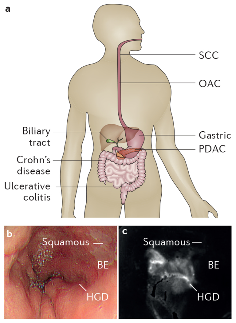 Figure 1 |