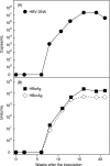 FIG. 6.