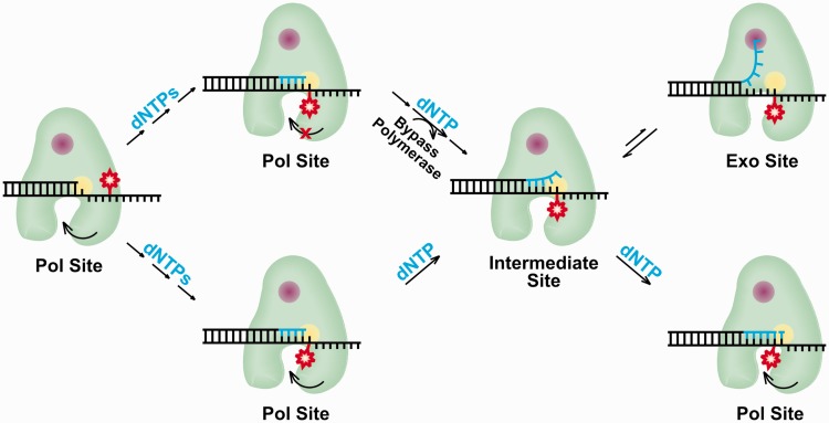 Figure 6.