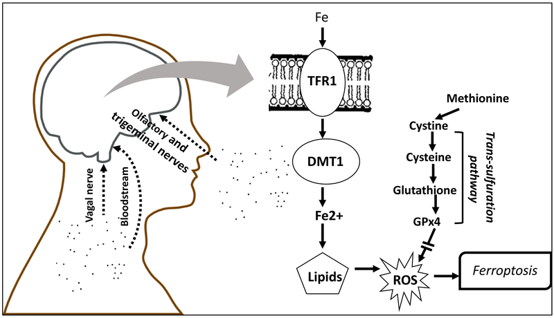 Figure 1.