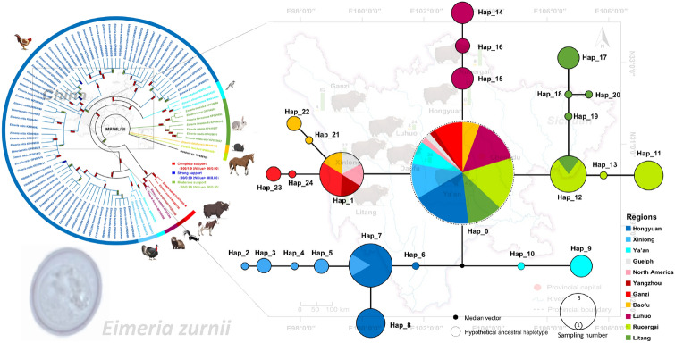 graphic file with name 13071_2023_5925_Figa_HTML.jpg