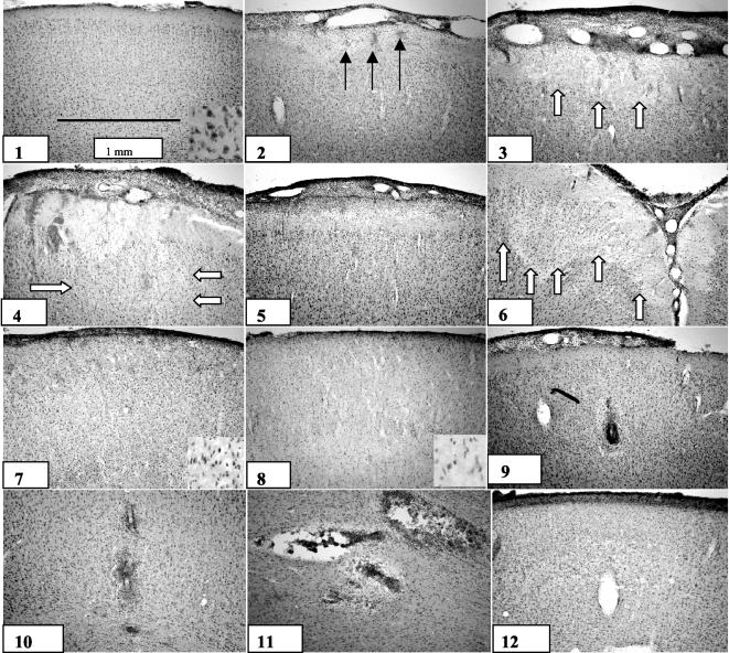 FIG. 6.