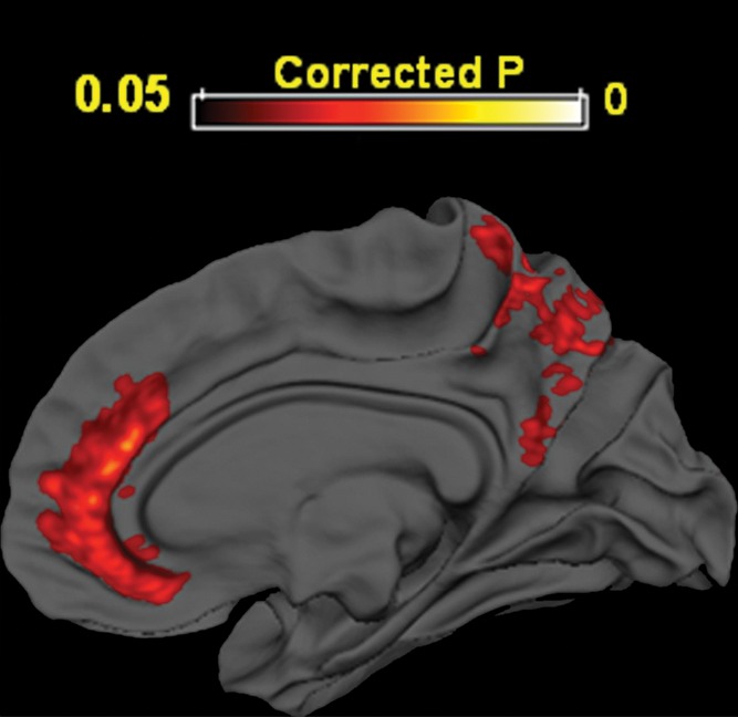 Figure 2a: