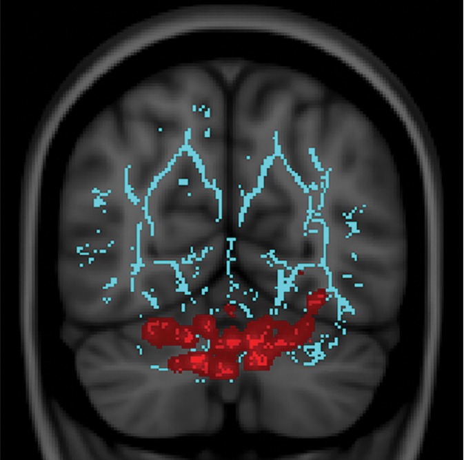 Figure 3a: