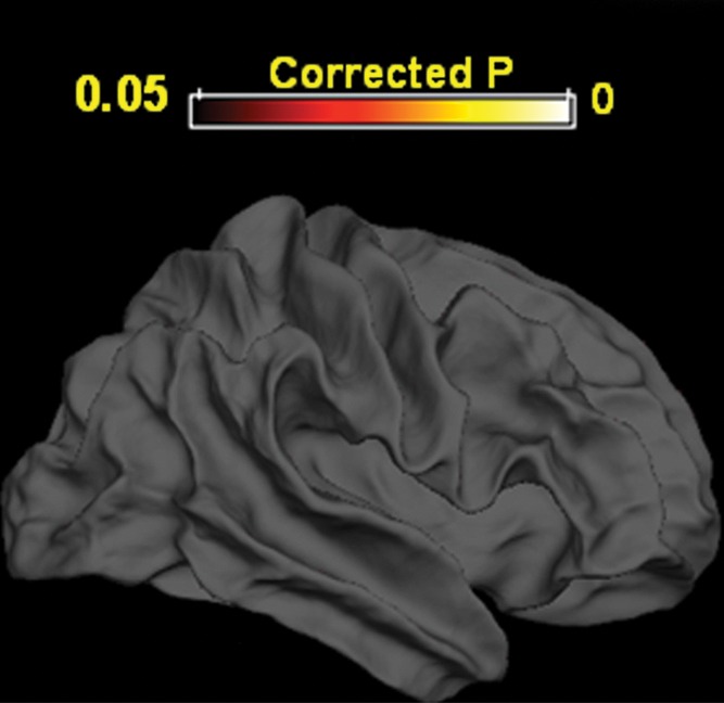 Figure 2b: