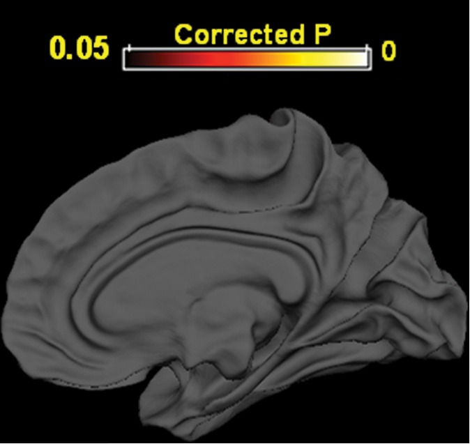 Figure 2c: