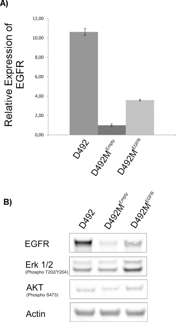 Fig 5