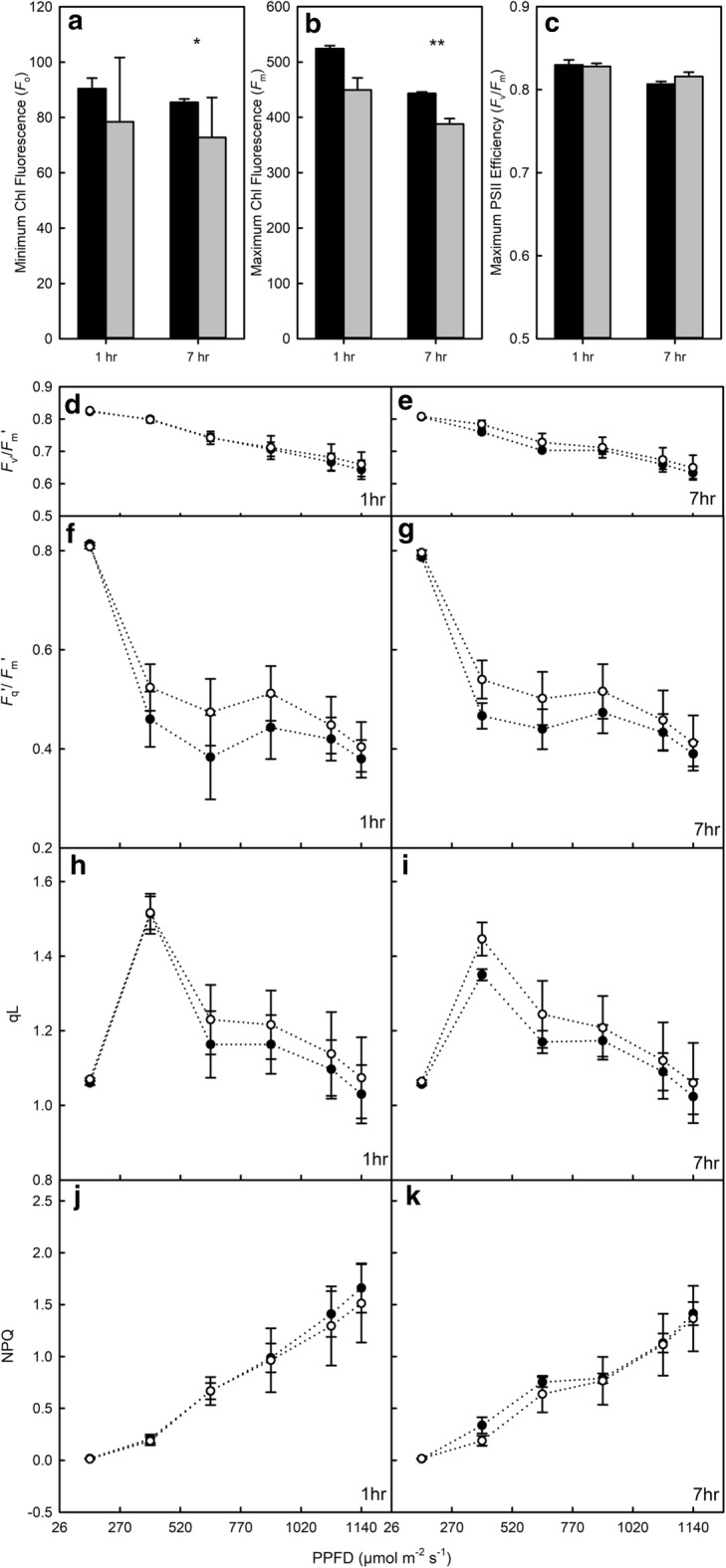 Fig. 4